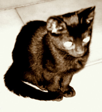 male male